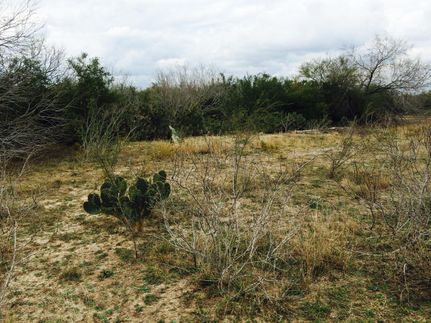 Farm and Ranch in Jim Wells County, Texas