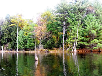 Waterfront Property in Otsego County, New York