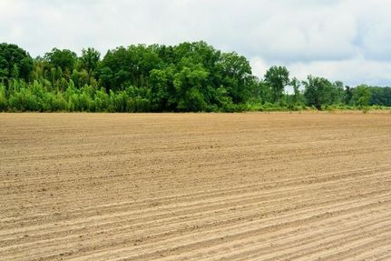 Farm and Ranch in Florence County, South Carolina