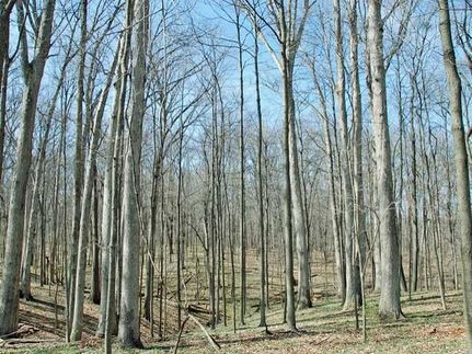 Land in Edgar County, Illinois