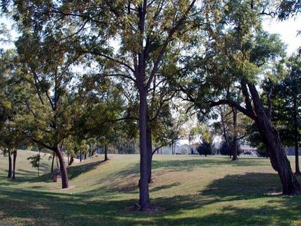 Farm and Ranch in Vermillion County, Indiana