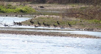 Riverfront Property in Buffalo County, Nebraska