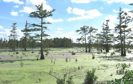 Lakefront Property in Bolivar County, Mississippi