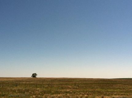 Farm and Ranch in Elbert County, Colorado