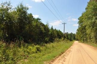 Farm and Ranch in Tyler County, Texas