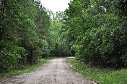 Farm and Ranch in Polk County, Texas