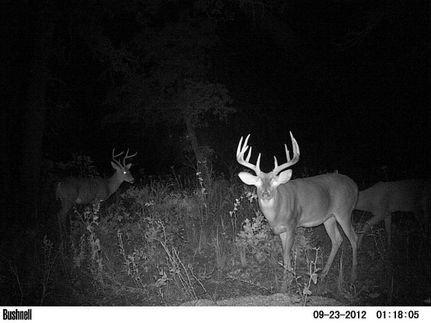 Land in Love County, Oklahoma