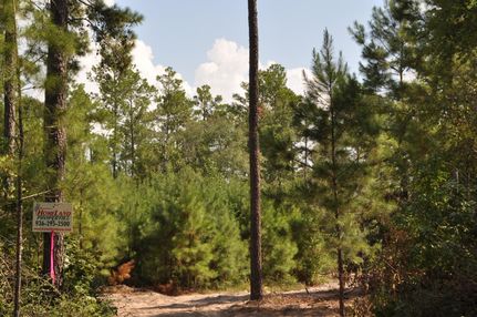Farm and Ranch in Trinity County, Texas