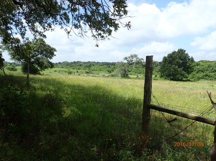Hunting Property in Caldwell County, Texas