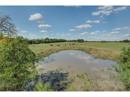 Undeveloped Land in Grimes County, Texas