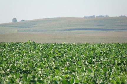 Land in Adams County, Iowa