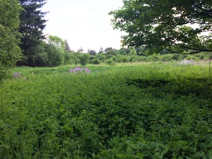 Land in Allegany County, New York