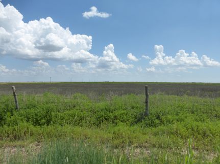 Farm and Ranch in Randall County, Texas