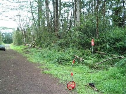 Undeveloped Land in Hawaii County, Hawaii