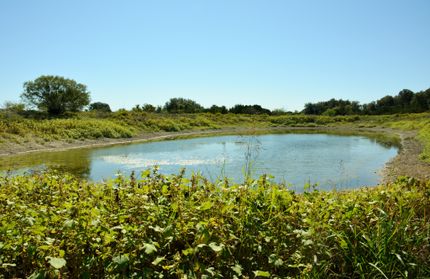 Farm and Ranch in Lampasas County, Texas