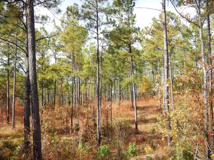Land in Tallapoosa County, Alabama