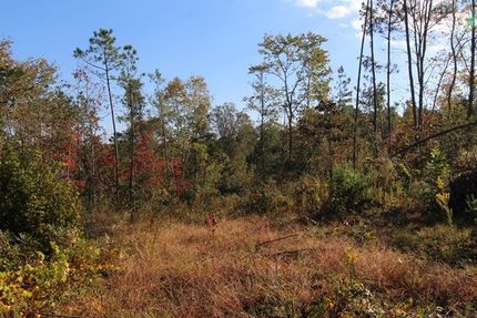 Farm and Ranch in Moore County, North Carolina