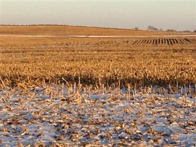Farm and Ranch in Bureau County, Illinois