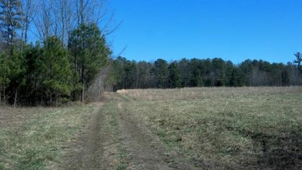 Farm and Ranch in Brunswick County, Virginia