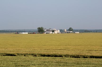 Farm and Ranch in Lamar County, Texas