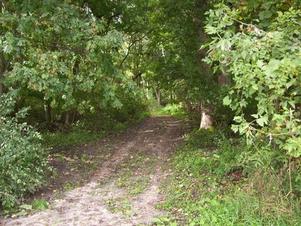 Recreational Property in Green Lake County, Wisconsin