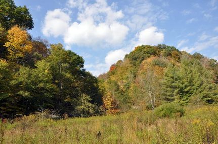 Hunting Property in Greenbrier County, West Virginia
