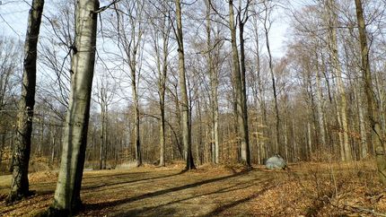 Recreational Property in Lapeer County, Michigan