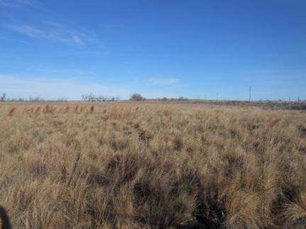 Farm and Ranch in Quay County, New Mexico