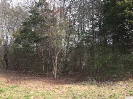 Timberland Property in Marion County, Tennessee