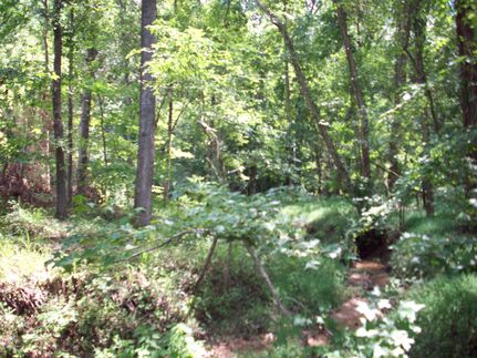 Farm and Ranch in Fairfield County, South Carolina