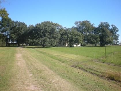 Farm and Ranch in Fort Bend County, Texas