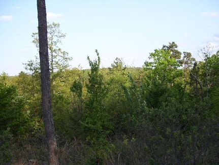 Undeveloped Land in Latimer County, Oklahoma
