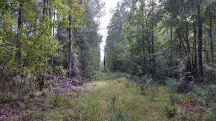 Timberland Property in Anderson County, Texas