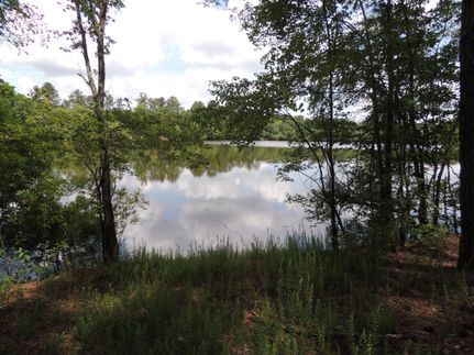 Land in Florence County, South Carolina