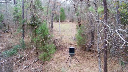 Timberland Property in Anderson County, Texas