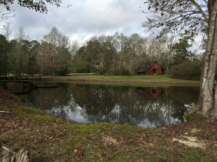 Farm and Ranch in Copiah County, Mississippi