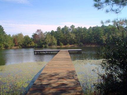 Farm and Ranch in Orangeburg County, South Carolina