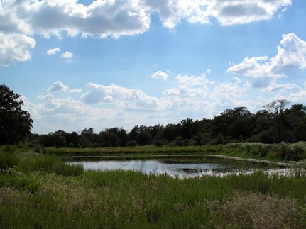 Farm and Ranch in Burleson County, Texas