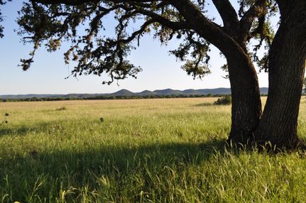 Farm and Ranch in Bandera County, Texas
