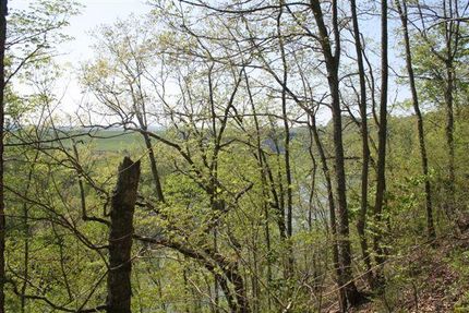 Land in Russell County, Kentucky