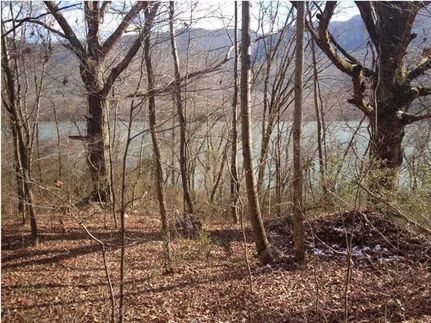 Undeveloped Land in Marion County, Tennessee