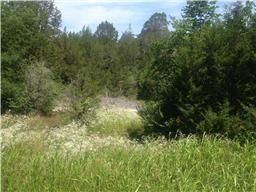 Farm and Ranch in Williamson County, Tennessee