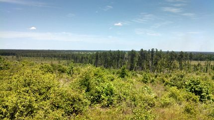 Farm and Ranch in Trinity County, Texas