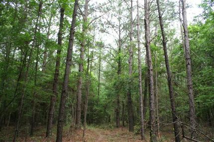 Land in Montgomery County, Texas