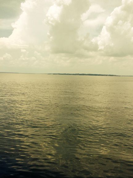 Farm and Ranch in Montgomery County, Texas
