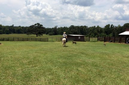 Land in Montgomery County, Texas