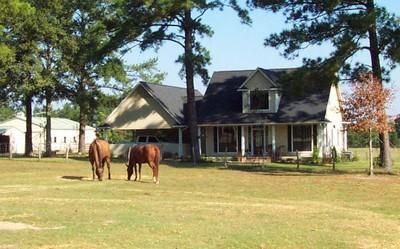 Undeveloped Land in Montgomery County, Texas