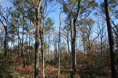 Farm and Ranch in Montgomery County, Texas