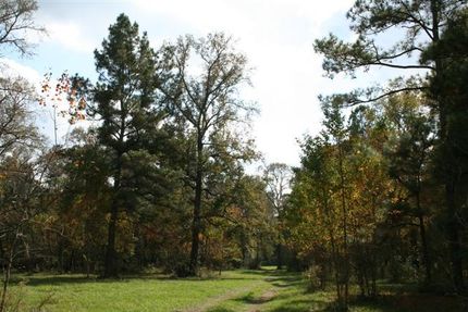 Farm and Ranch in Montgomery County, Texas