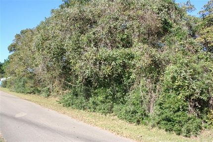 Timberland Property in Montgomery County, Texas